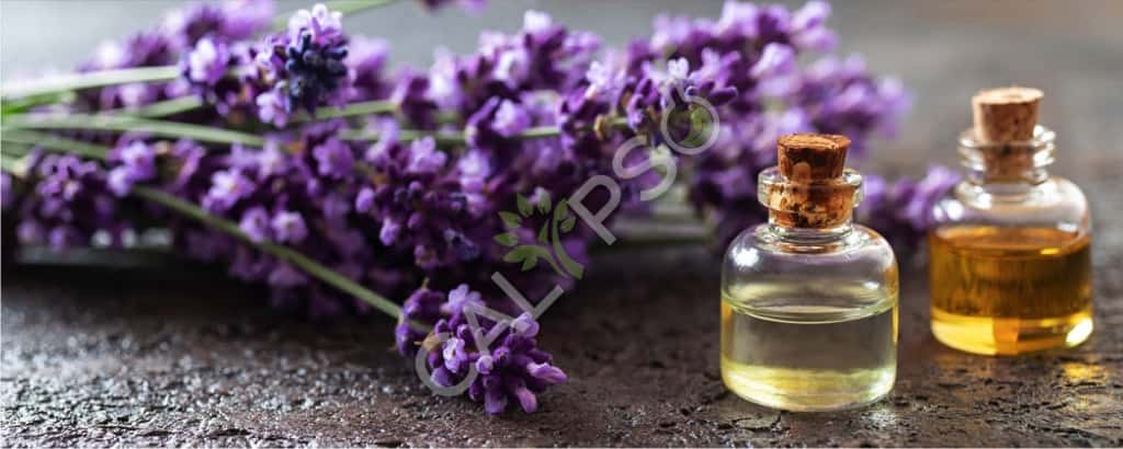 Lavendel etherische olie